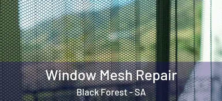 Window Mesh Repair Black Forest - SA