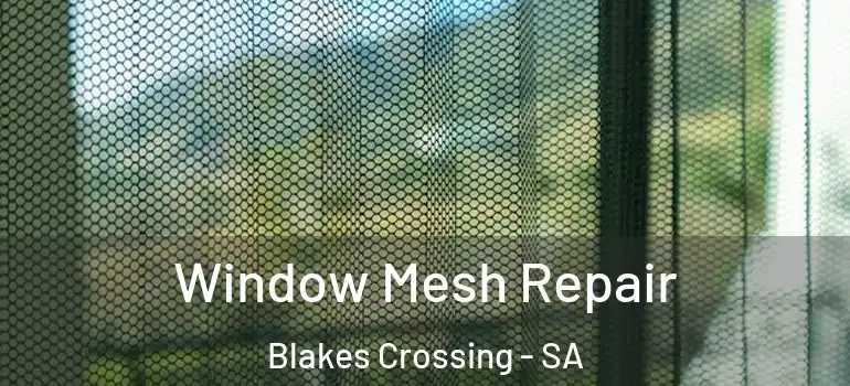 Window Mesh Repair Blakes Crossing - SA