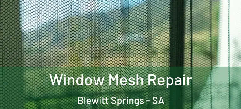 Window Mesh Repair Blewitt Springs - SA