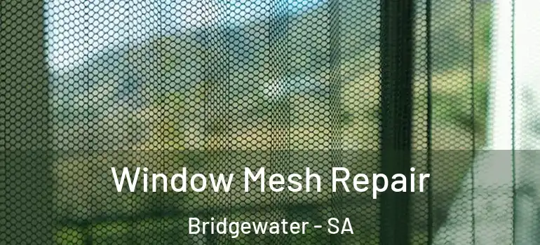 Window Mesh Repair Bridgewater - SA