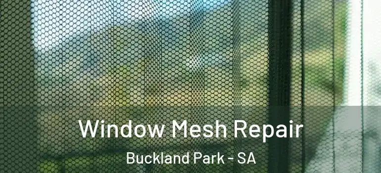 Window Mesh Repair Buckland Park - SA