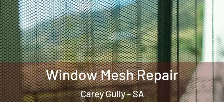 Window Mesh Repair Carey Gully - SA