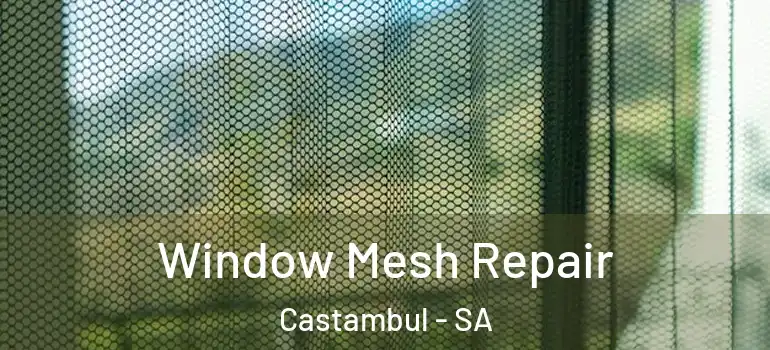 Window Mesh Repair Castambul - SA
