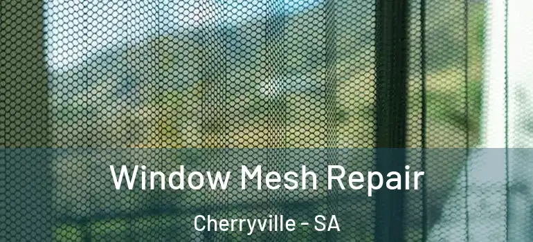 Window Mesh Repair Cherryville - SA