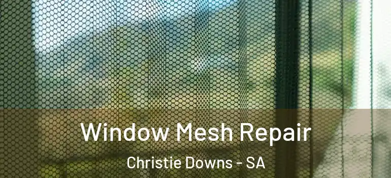 Window Mesh Repair Christie Downs - SA