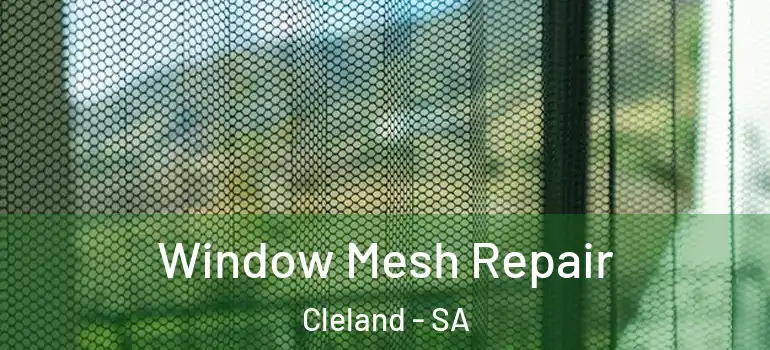 Window Mesh Repair Cleland - SA