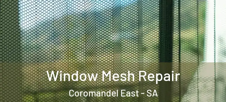 Window Mesh Repair Coromandel East - SA