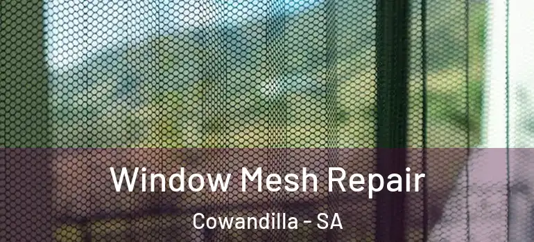Window Mesh Repair Cowandilla - SA