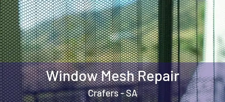 Window Mesh Repair Crafers - SA