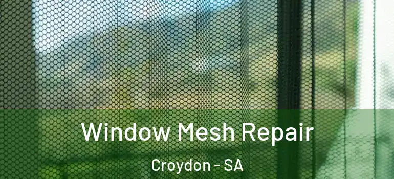 Window Mesh Repair Croydon - SA
