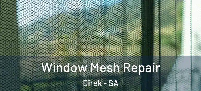 Window Mesh Repair Direk - SA