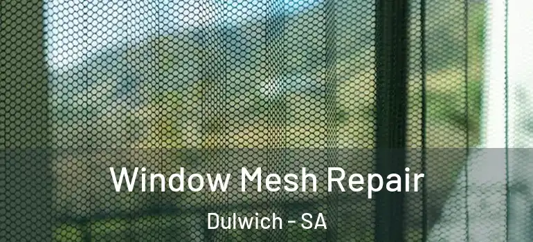 Window Mesh Repair Dulwich - SA