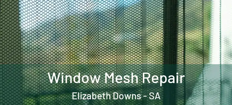 Window Mesh Repair Elizabeth Downs - SA