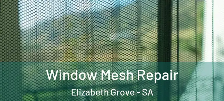 Window Mesh Repair Elizabeth Grove - SA