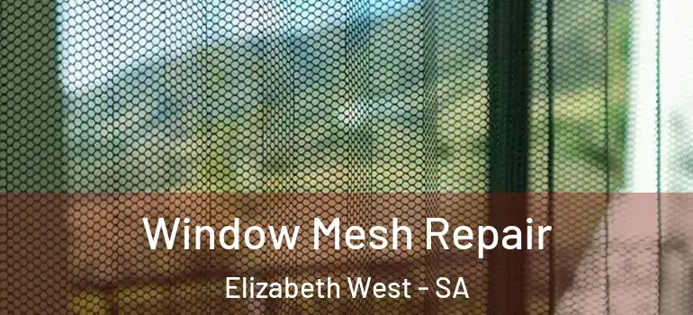 Window Mesh Repair Elizabeth West - SA