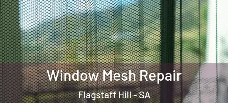 Window Mesh Repair Flagstaff Hill - SA