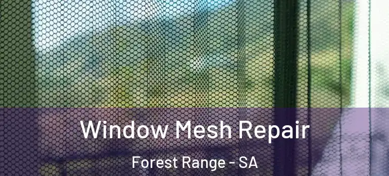 Window Mesh Repair Forest Range - SA