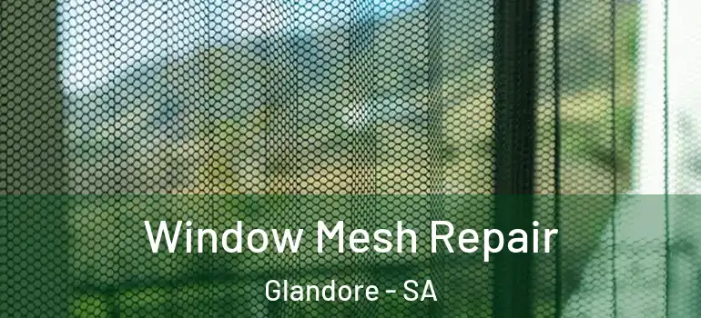 Window Mesh Repair Glandore - SA
