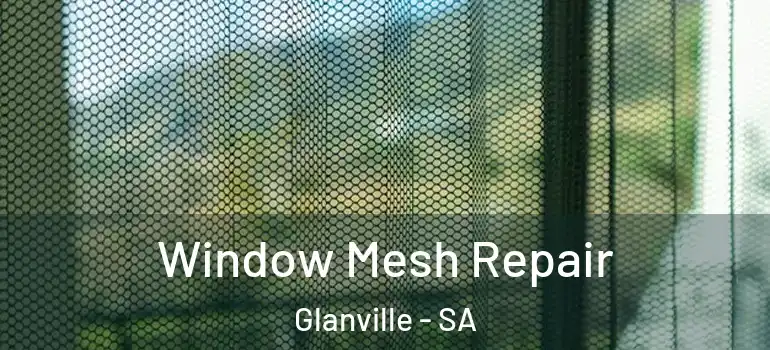 Window Mesh Repair Glanville - SA