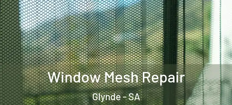 Window Mesh Repair Glynde - SA