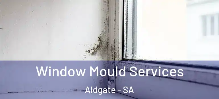 Window Mould Services Aldgate - SA