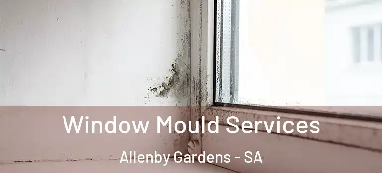 Window Mould Services Allenby Gardens - SA