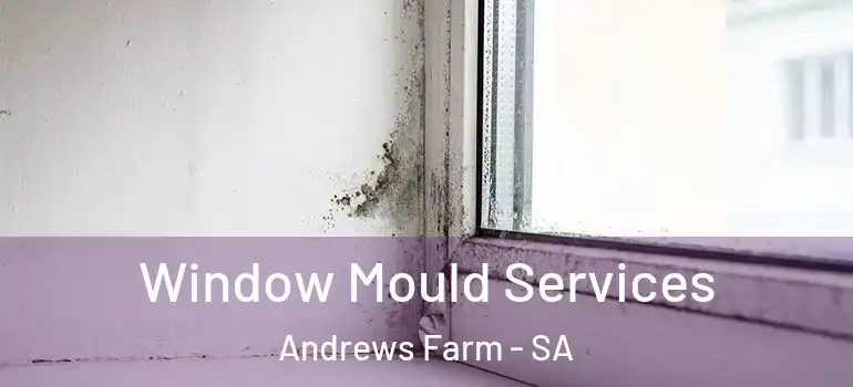 Window Mould Services Andrews Farm - SA