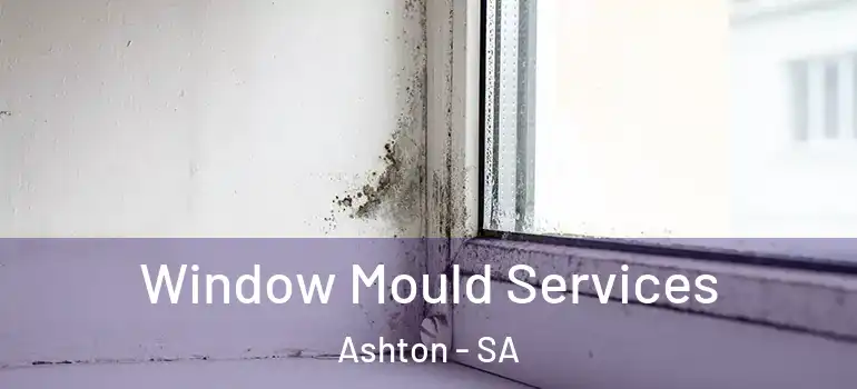 Window Mould Services Ashton - SA