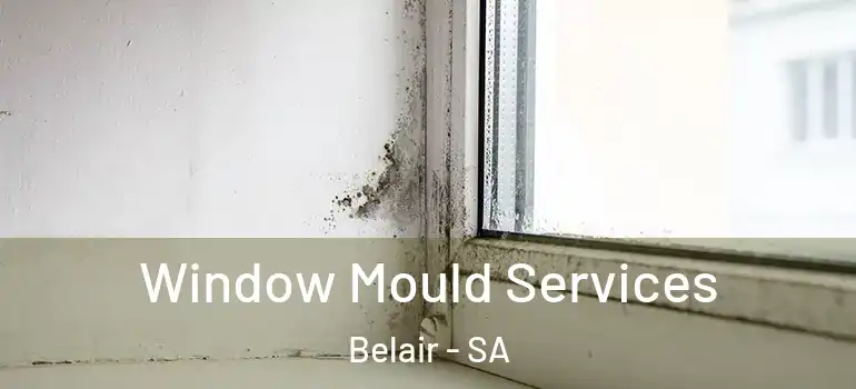 Window Mould Services Belair - SA