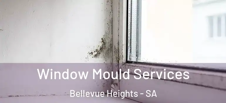 Window Mould Services Bellevue Heights - SA