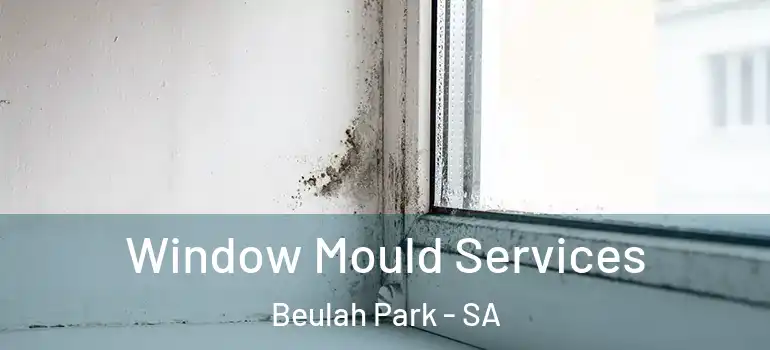 Window Mould Services Beulah Park - SA
