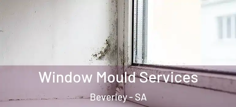 Window Mould Services Beverley - SA