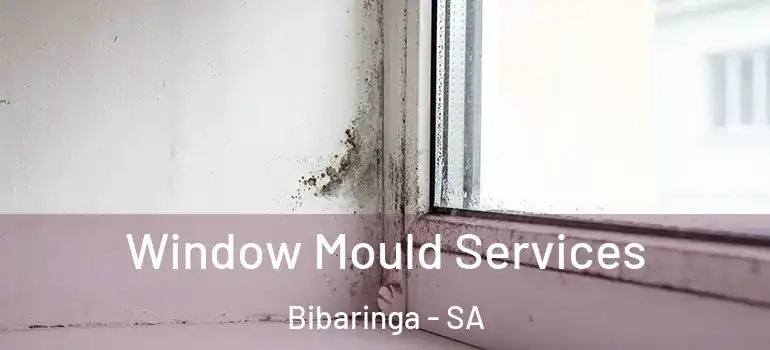 Window Mould Services Bibaringa - SA