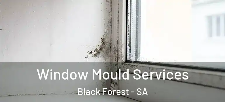 Window Mould Services Black Forest - SA