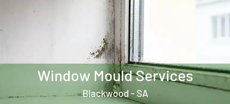 Window Mould Services Blackwood - SA