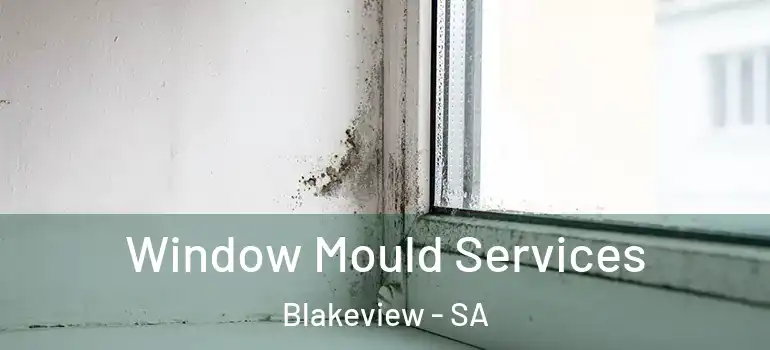 Window Mould Services Blakeview - SA