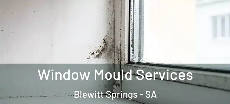 Window Mould Services Blewitt Springs - SA