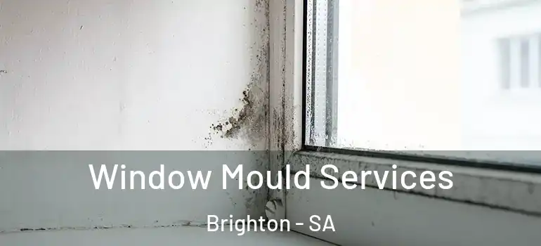 Window Mould Services Brighton - SA