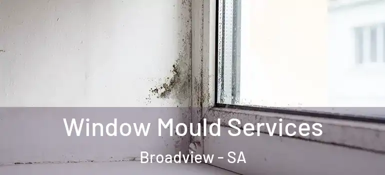 Window Mould Services Broadview - SA