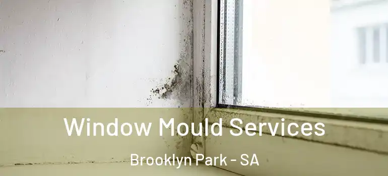 Window Mould Services Brooklyn Park - SA