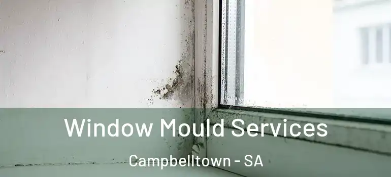 Window Mould Services Campbelltown - SA