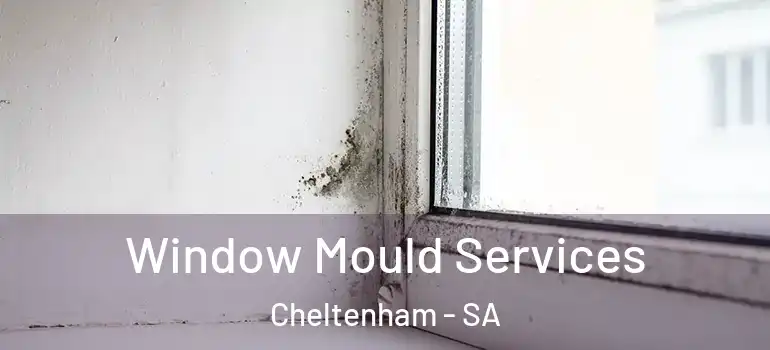 Window Mould Services Cheltenham - SA