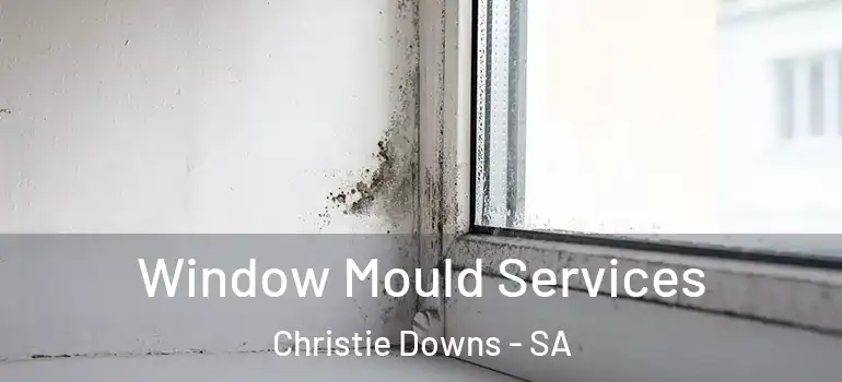 Window Mould Services Christie Downs - SA