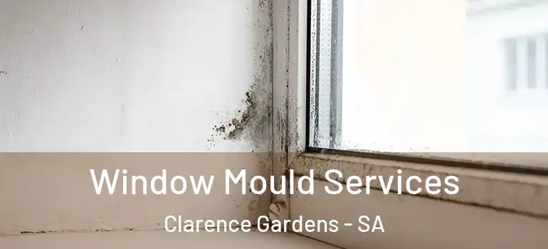 Window Mould Services Clarence Gardens - SA