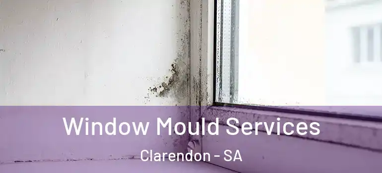 Window Mould Services Clarendon - SA