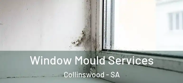 Window Mould Services Collinswood - SA