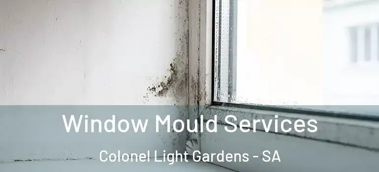 Window Mould Services Colonel Light Gardens - SA