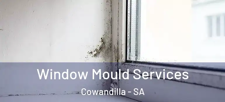Window Mould Services Cowandilla - SA
