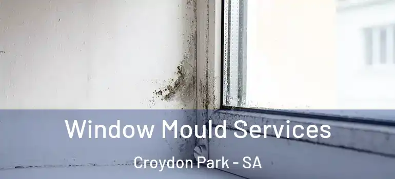 Window Mould Services Croydon Park - SA