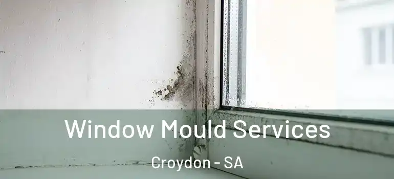 Window Mould Services Croydon - SA
